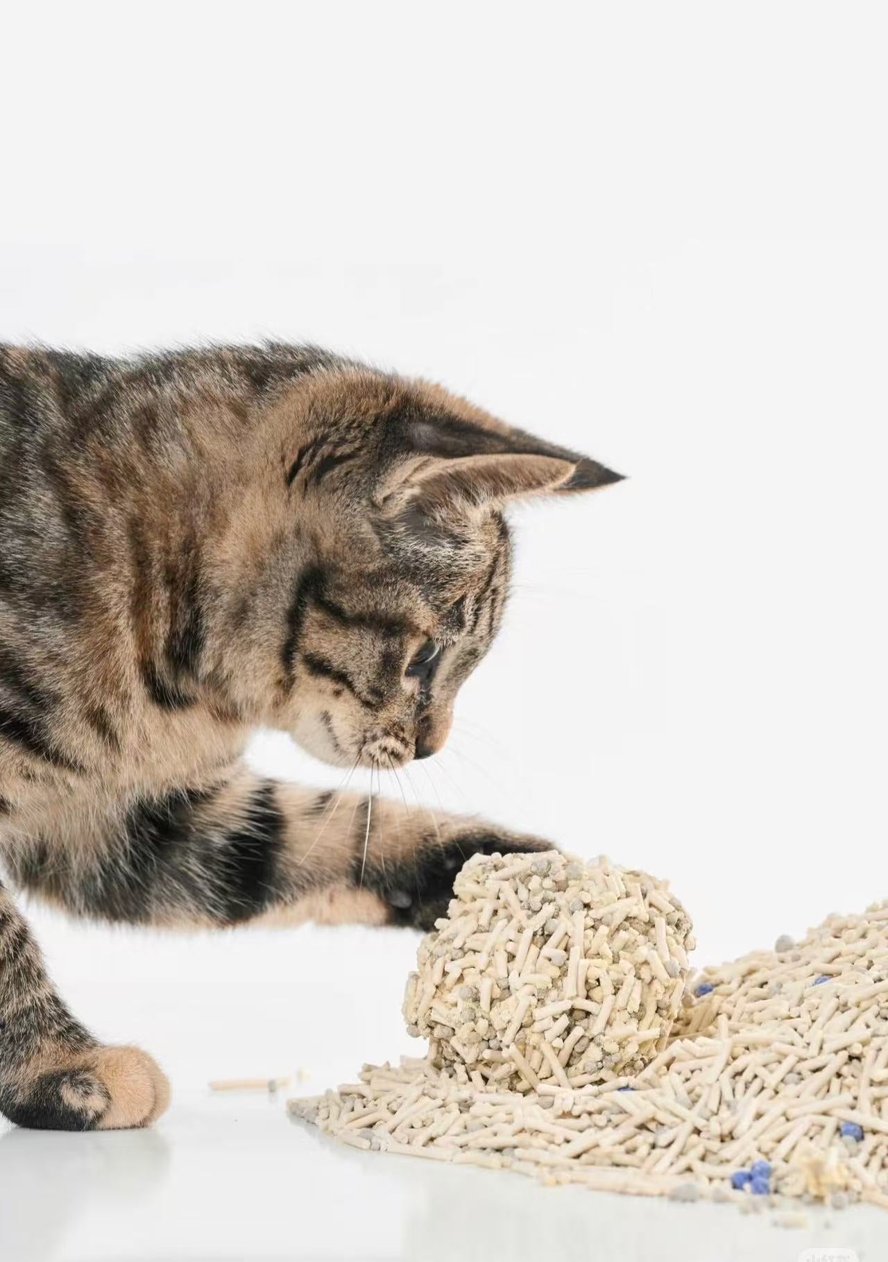 Akcesoria dla zwierząt